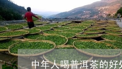 中年人喝普洱茶的好处/2023072300581