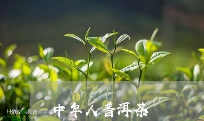 中年人普洱茶/2023042975654