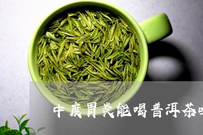 中度胃炎能喝普洱茶吗/2023063094939