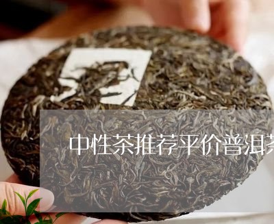 中性茶推荐平价普洱茶品牌/2023082795858