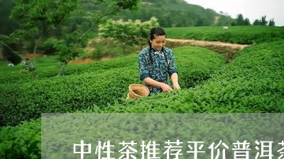 中性茶推荐平价普洱茶品牌/2023110416281