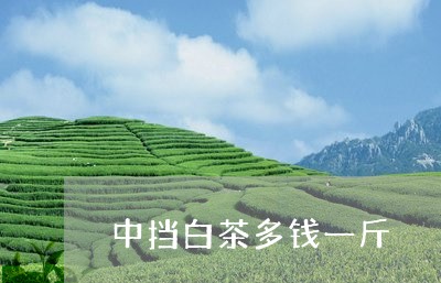 中挡白茶多钱一斤/2023061493182