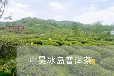 中昊冰岛普洱茶/2023102603847