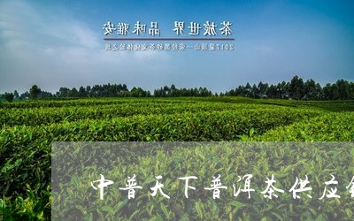 中普天下普洱茶供应链/2023120698460