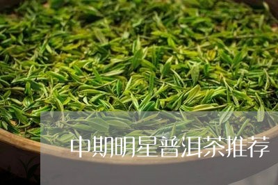 中期明星普洱茶推荐/2023120537373