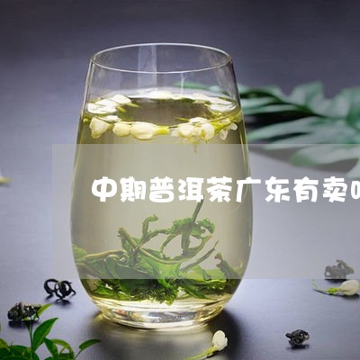 中期普洱茶广东有卖吗吗/2023050473858