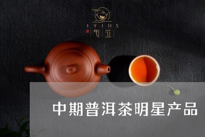 中期普洱茶明星产品/2023101692414