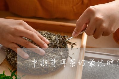 中期普洱茶的最佳时间/2023100853737