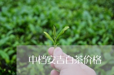 中档安吉白茶价格/2023061405269