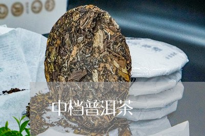 中档普洱茶/2023090548271