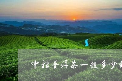 中档普洱茶一般多少钱一斤/2023051129495