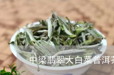 中梁翡翠大白菜普洱茶/2023061731692