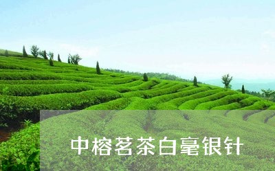 中榕茗茶白毫银针/2023061483715