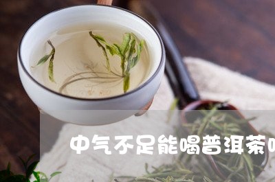 中气不足能喝普洱茶吗/2023092722696