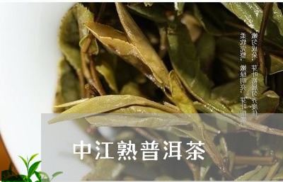 中江熟普洱茶/2023042672686