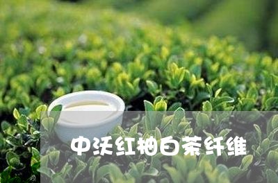 中沃红柚白茶纤维/2023061418593