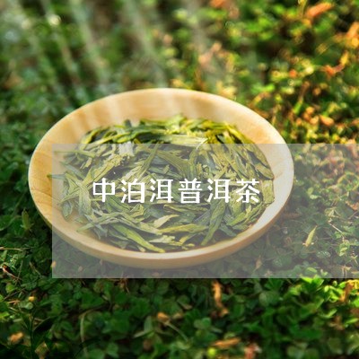 中泊洱普洱茶/2023042973290