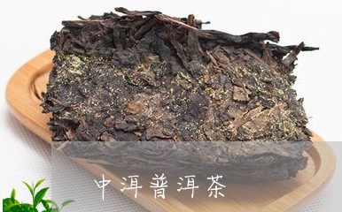 中洱普洱茶/2023090684153