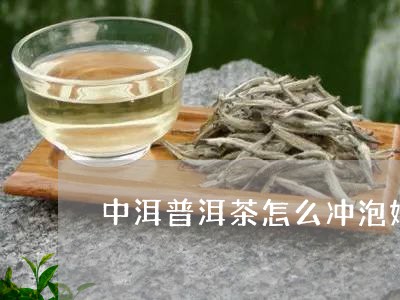 中洱普洱茶怎么冲泡好/2023082849594