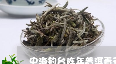 中海钓台陈年普洱青茶/2023092481494