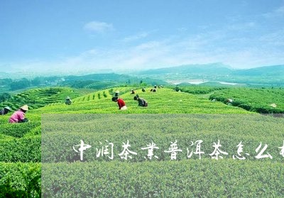 中润茶业普洱茶怎么样好喝吗/2023052961793