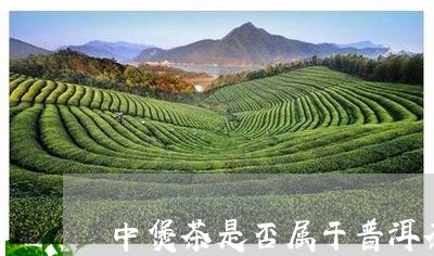 中煲茶是否属于普洱茶/2023100771525