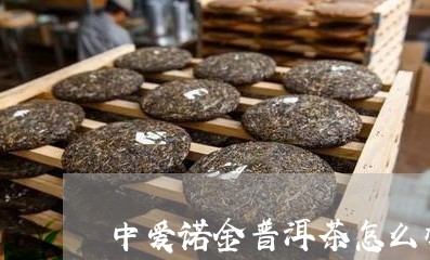 中爱诺金普洱茶怎么样/2023120669492