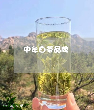 中牟白茶品牌/2023051286549