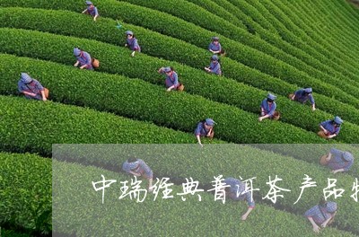 中瑞经典普洱茶产品特点/2023082805140