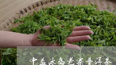 中益冰岛老寨普洱茶/2023071132793