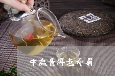 中益普洱老寿眉/2023112459371