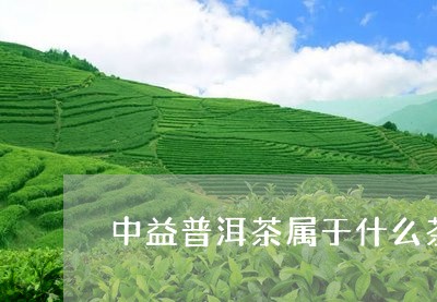 中益普洱茶属于什么茶/2023100738350