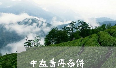 中益普洱茶饼/2023042586958