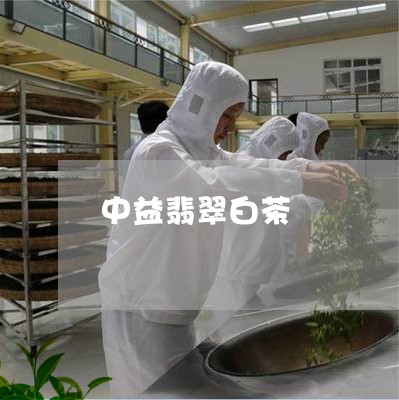 中益翡翠白茶/2023051206173