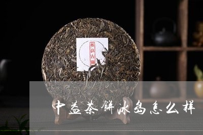 中益茶饼冰岛怎么样/2023042690473