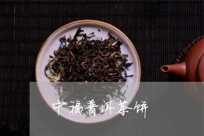 中福普洱茶饼/2023042539362