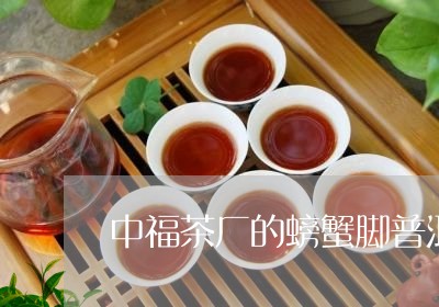 中福茶厂的螃蟹脚普洱茶/2023120765949