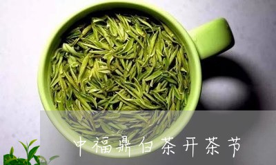 中福鼎白茶开茶节/2023061440735