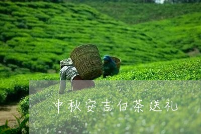 中秋安吉白茶送礼/2023061431917