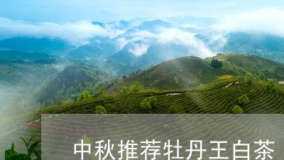 中秋推荐牡丹王白茶/2023121538592