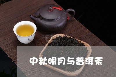 中秋明月与普洱茶/2023081634147