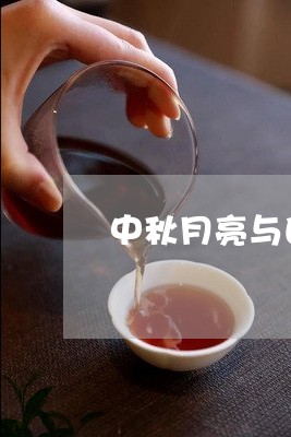 中秋月亮与白茶茶饼/2023121514027