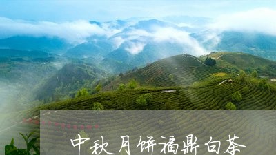 中秋月饼福鼎白茶/2023061430482