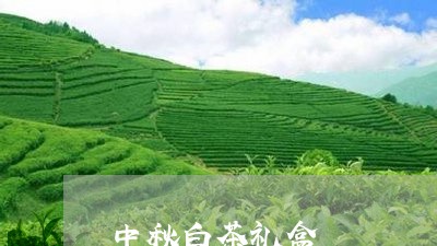 中秋白茶礼盒/2023051223704