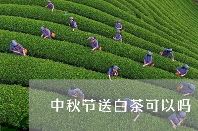 中秋节送白茶可以吗/2023121532725