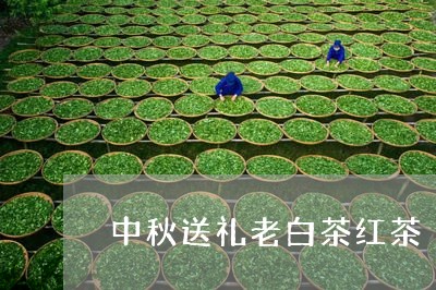 中秋送礼老白茶红茶/2023121502838