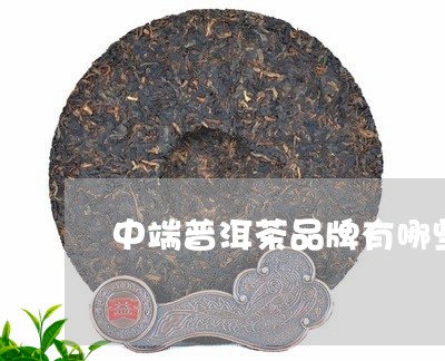 中端普洱茶品牌有哪些/2023062353627