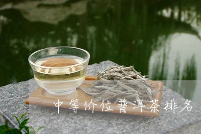 中等价位普洱茶排名/2023082679572