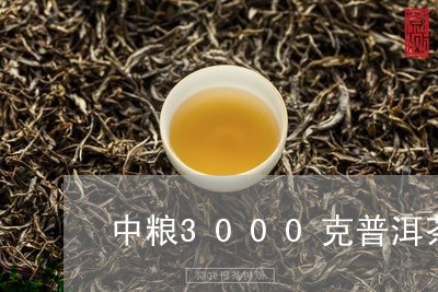 中粮3000克普洱茶/2023100599480