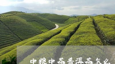 中粮中茶普洱茶怎么了/2023062176258